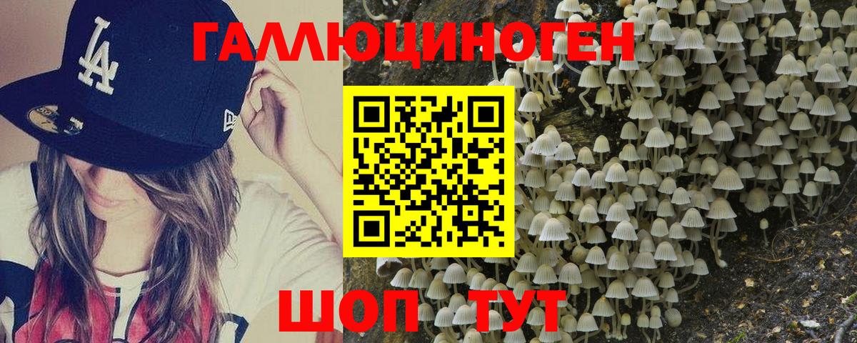 Галлюциногенные грибы прущие грибы  Псилоцибиновые грибы Psilocybine cubensis  Вход с VPN  Будённовск 